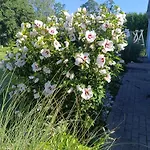 Tatil Evi Nad Zalewem *
