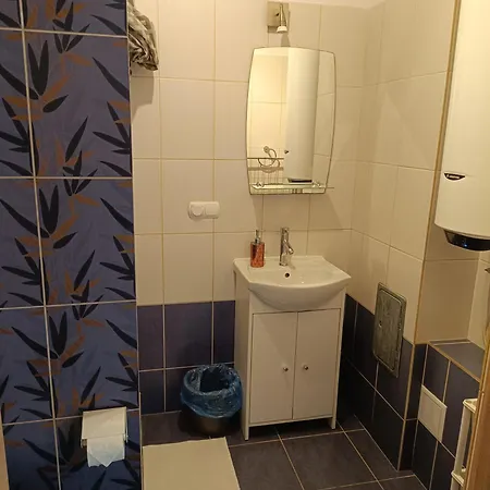 Nad Zalewem 別荘 *